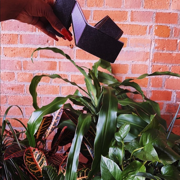 Jewelry Box - Picture 3 of 8